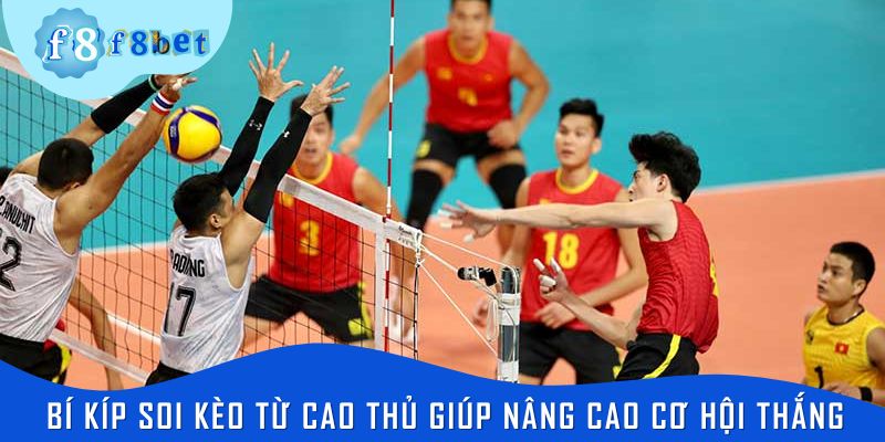 Bí kíp soi kèo từ cao thủ giúp người chơi nâng cao cơ hội thắng