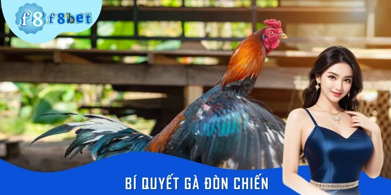 Bí Quyết Gà Đòn Chiến F8BET: Cẩm Nang Vàng Cho Người Chơi