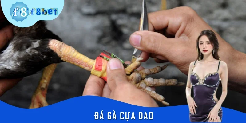 Đá Gà Cựa Dao F8BET: Trận Chiến Đẫm Máu Của Chiến Kê Tinh Anh