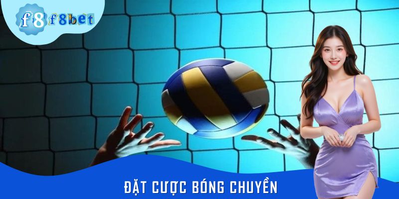Đặt Cược Bóng Chuyền F8bet – Chia Sẻ Cách Bắt Kèo Hiệu Quả