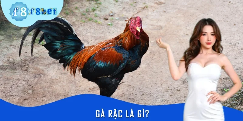 Gà Rặc Là Gì? Hé Lộ Đặc Điểm Khiến Dân Chơi F8BET Mê Mẩn