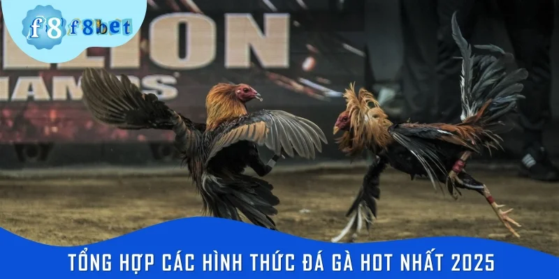 Tổng hợp các hình thức đá gà hot nhất 2025