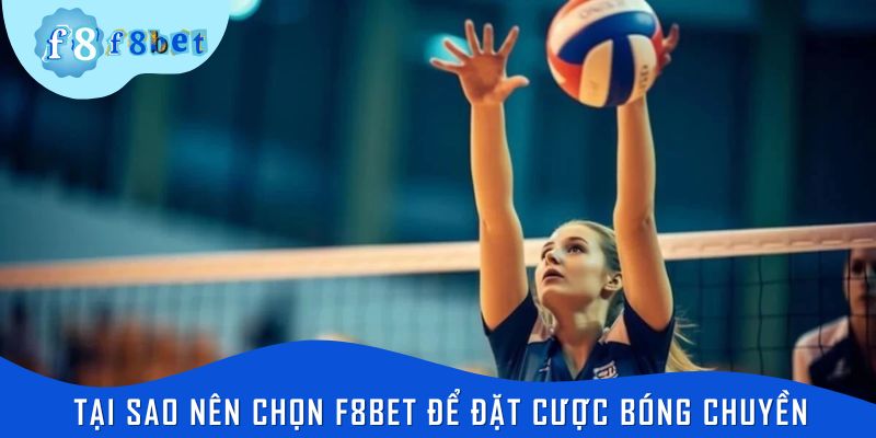 Tại sao người chơi nên chọn nhà cái F8bet để đặt cược bóng chuyền