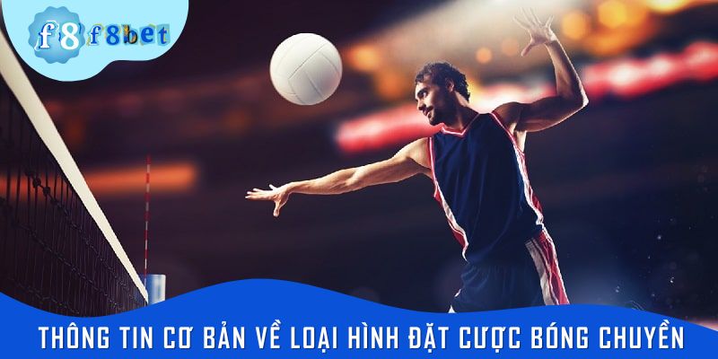 Thông tin cơ bản về loại hình đặt cược bóng chuyền