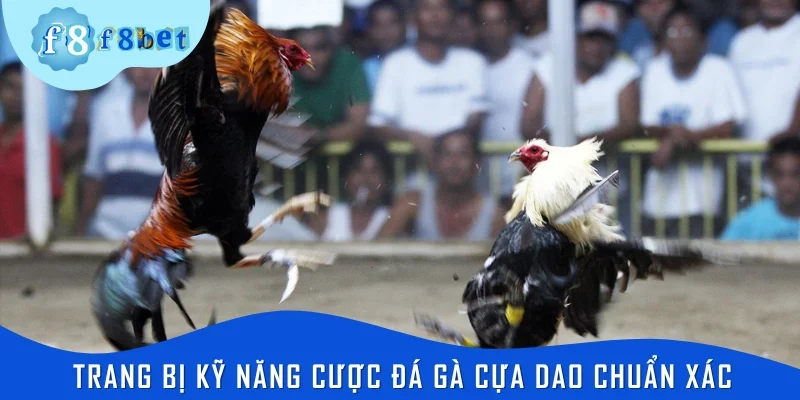 Trang bị kỹ năng cược đá gà cựa dao chuẩn xác